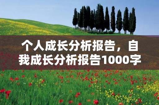 个人成长分析报告,自我成长分析报告1000字