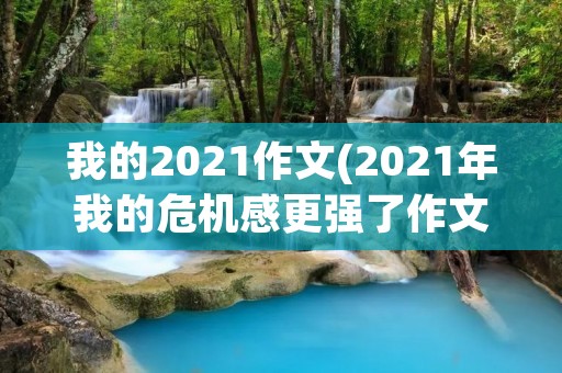 我的2021作文(2021年我的危机感更强了作文)