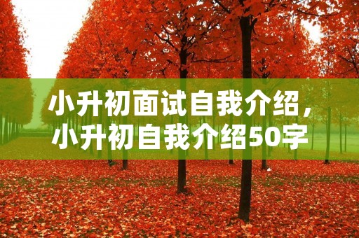 小升初面试自我介绍,小升初自我介绍50字 小升初面试自我介绍,小升初自我介绍50字