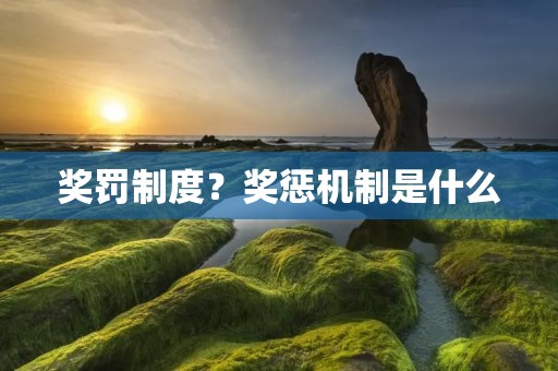 奖罚制度?奖惩机制是什么 奖罚制度?奖惩机制是什么