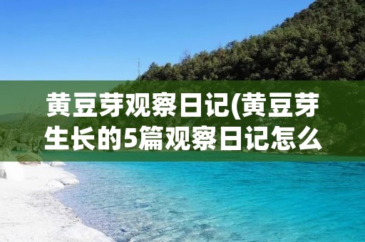 黄豆芽观察日记(黄豆芽生长的5篇观察日记怎么写)