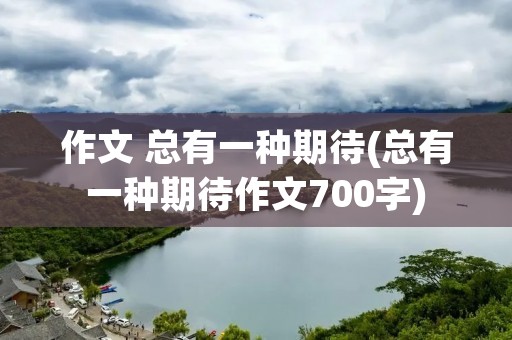 作文 总有一种期待(总有一种期待作文700字)