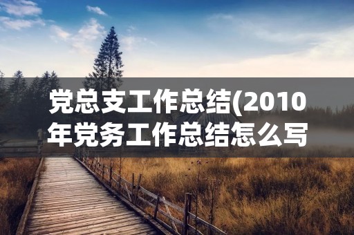 党总支工作总结(2010年党务工作总结怎么写)