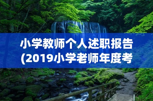 小学教师个人述职报告(2019小学老师年度考核的个人述职报告3篇)