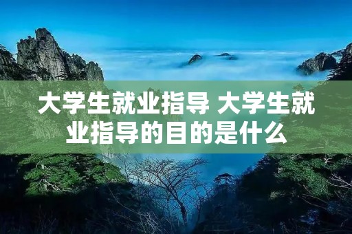 大学生就业指导 大学生就业指导的目的是什么