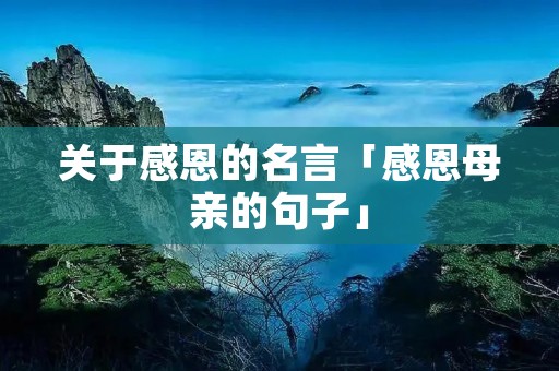 关于感恩的名言「感恩母亲的句子」
