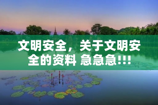 文明安全,关于文明安全的资料 急急急!!! 文明安全,关于文明安全的资料 急急急!!!