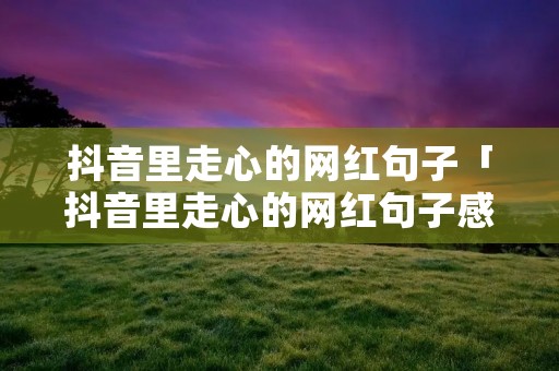 抖音里走心的网红句子「抖音里走心的网红句子感情」