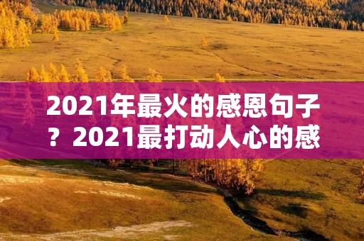 2021年最火的感恩句子？2021最打动人心的感恩节祝福语80句