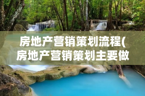 房地产营销策划流程(房地产营销策划主要做什么)