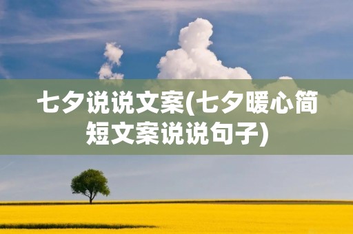 七夕说说文案(七夕暖心简短文案说说句子)