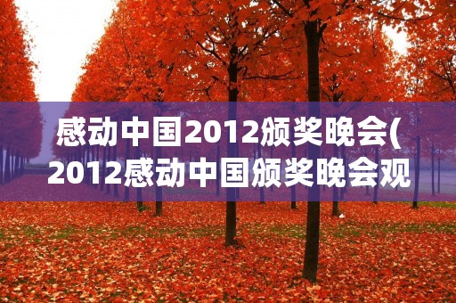 感动中国2012颁奖晚会(2012感动中国颁奖晚会观后感)