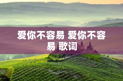 爱你不容易 爱你不容易 歌词