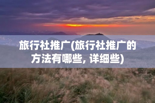 旅行社推广(旅行社推广的方法有哪些, 详细些)