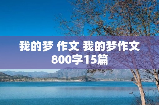 我的梦 作文 我的梦作文800字15篇