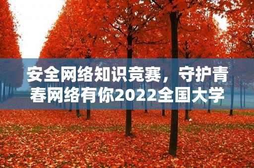 安全网络知识竞赛，守护青春网络有你2022全国大学生网络安全知识竞赛题库及答案
