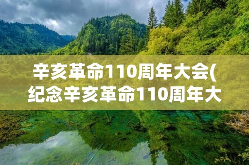 辛亥革命110周年大会(纪念辛亥革命110周年大会举行,你对此有何哪些感悟)