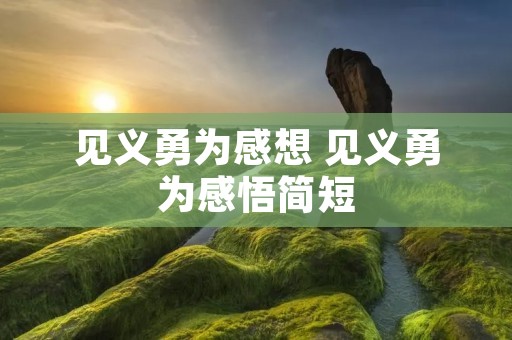 见义勇为感想 见义勇为感悟简短