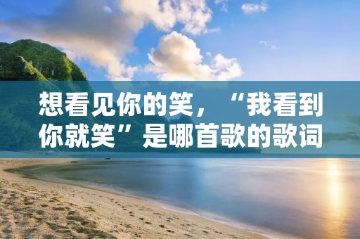 想看见你的笑，“我看到你就笑”是哪首歌的歌词