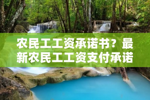 农民工工资承诺书？最新农民工工资支付承诺书范文