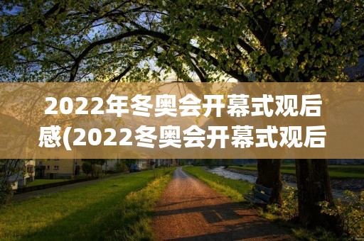 2022年冬奥会开幕式观后感(2022冬奥会开幕式观后感作文)