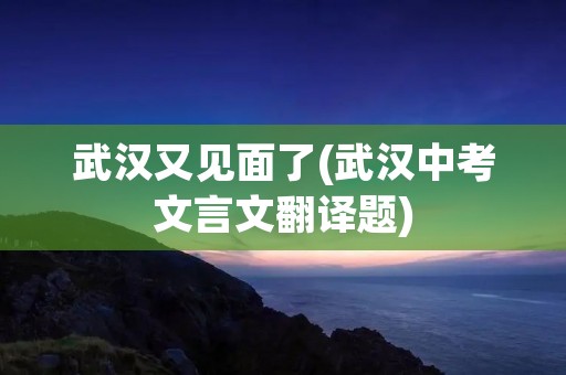 武汉又见面了(武汉中考文言文翻译题)