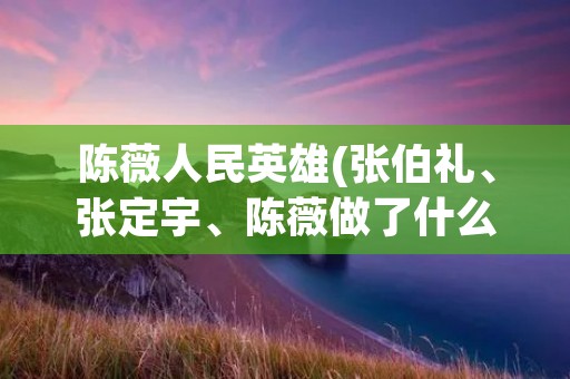陈薇人民英雄(张伯礼、张定宇、陈薇做了什么为何能获人民英雄的称号)