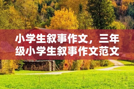 小学生叙事作文,三年级小学生叙事作文范文6篇