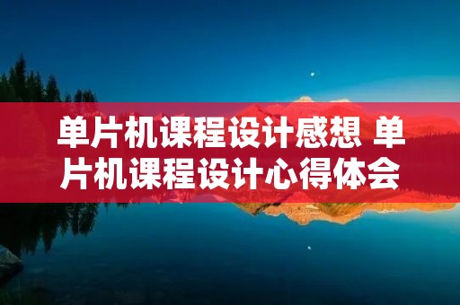 单片机课程设计感想 单片机课程设计心得体会范文1000字
