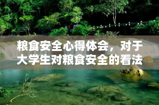 粮食安全心得体会,对于大学生对粮食安全的看法