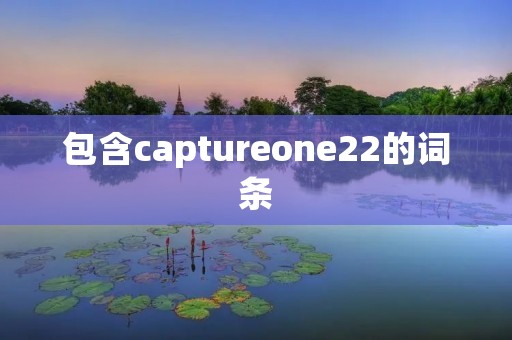 包含captureone22的词条