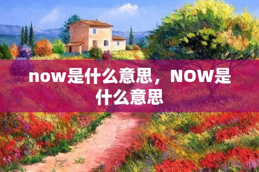 now是什么意思,NOW是什么意思 now是什么意思,NOW是什么意思