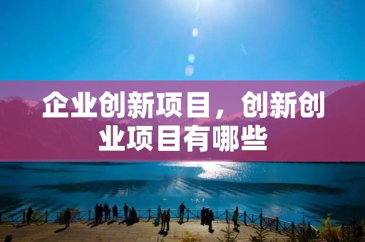 企业创新项目,创新创业项目有哪些