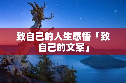 致自己的人生感悟「致自己的文案」