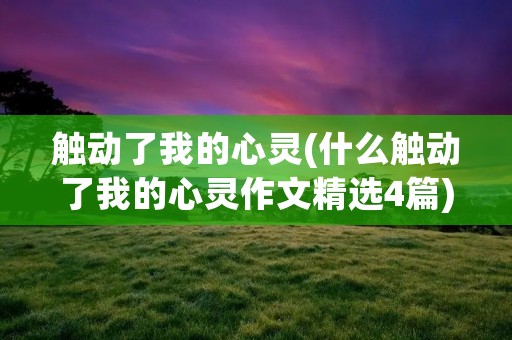 触动了我的心灵(什么触动了我的心灵作文精选4篇)