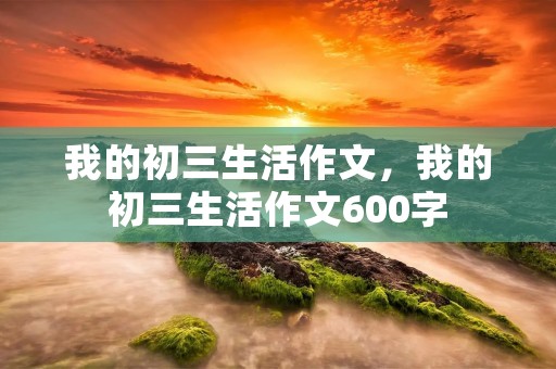 我的初三生活作文，我的初三生活作文600字