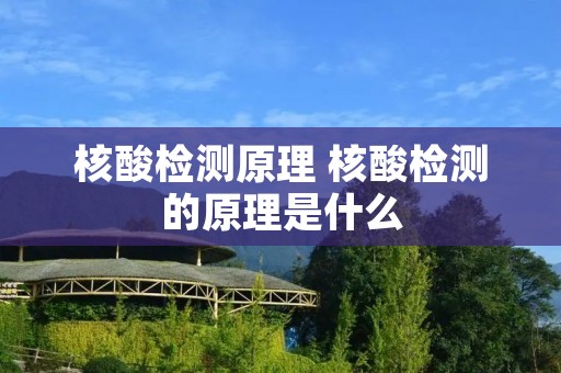 核酸检测原理 核酸检测的原理是什么