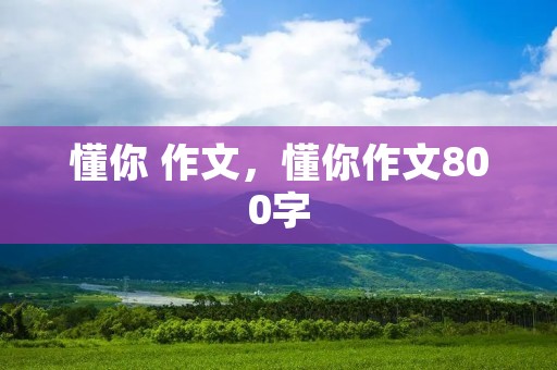 懂你 作文，懂你作文800字