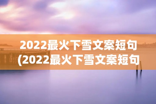 2022最火下雪文案短句(2022最火下雪文案短句集锦)