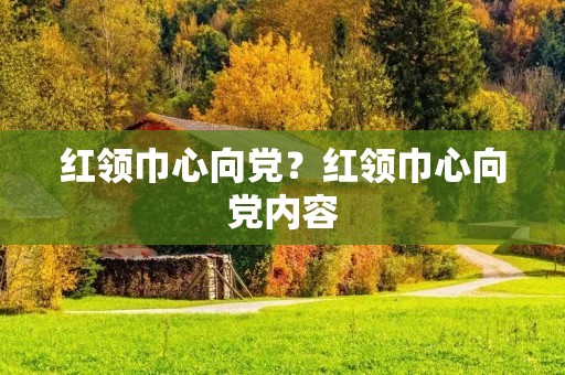 红领巾心向党?红领巾心向党内容