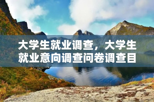 大学生就业调查,大学生就业意向调查问卷调查目的是什么 大学生就业调查,大学生就业意向调查问卷调查目的是什么