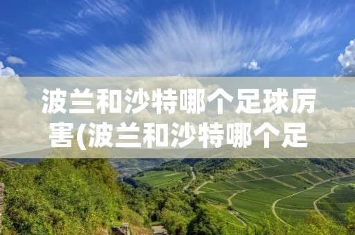 波兰和沙特哪个足球厉害(波兰和沙特哪个足球厉害 沙特阿拉伯和波兰足球谁厉害)