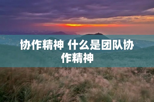协作精神 什么是团队协作精神 协作精神 什么是团队协作精神