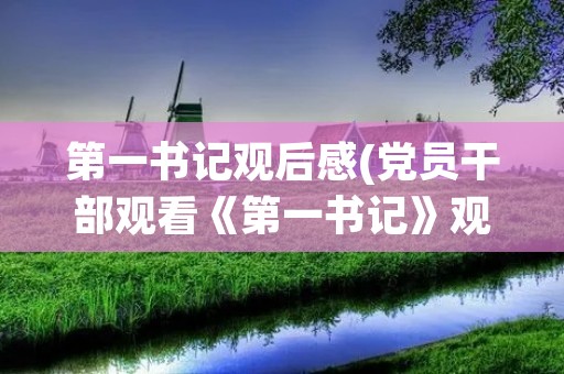 第一书记观后感(党员干部观看《第一书记》观后感范文四篇)