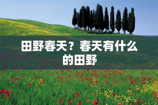 田野春天?春天有什么的田野