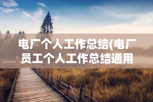电厂个人工作总结(电厂员工个人工作总结通用5篇)