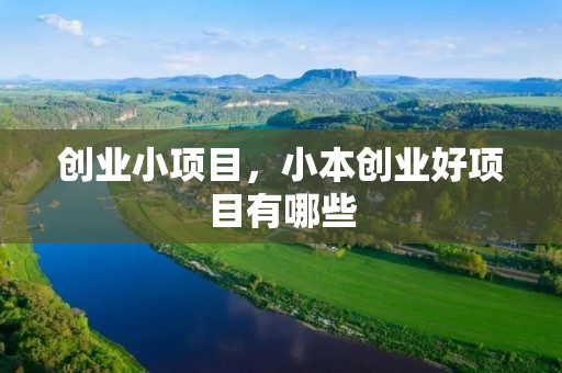 创业小项目，小本创业好项目有哪些