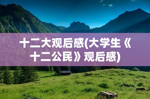 十二大观后感(大学生《十二公民》观后感) 十二大观后感(大学生《十二公民》观后感)