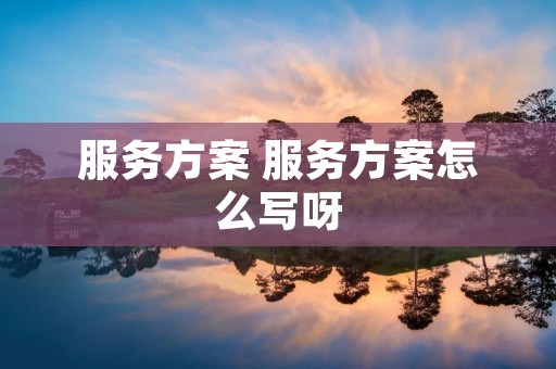 服务方案 服务方案怎么写呀