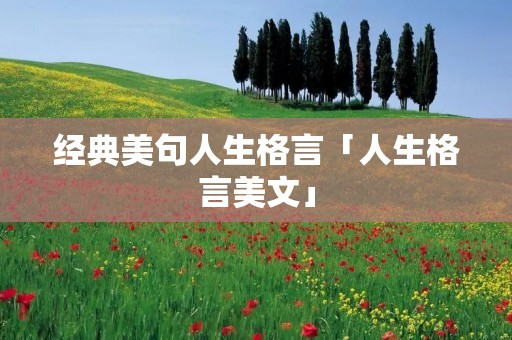 经典美句人生格言「人生格言美文」